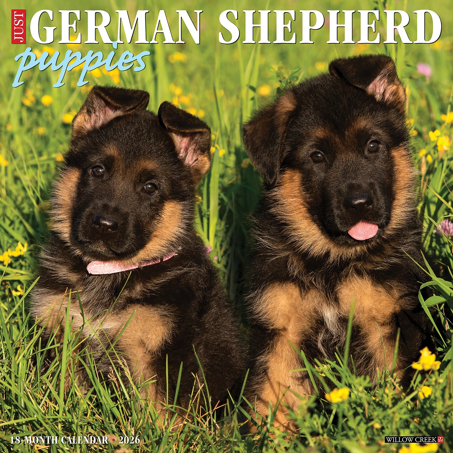 2026 Willow Creek German Shepherd Puppies 12 x 12 Monthly Wall Calendar (51221)