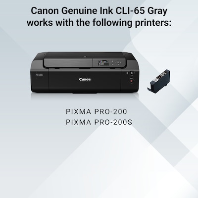 Canon 65 GY Gray Standard Yield Ink Cartridge (4219C002)