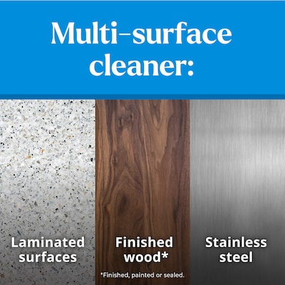 CloroxPro Clorox EcoClean Disinfecting Cleaner Spray Bottle, 32 fl. oz. (60213)