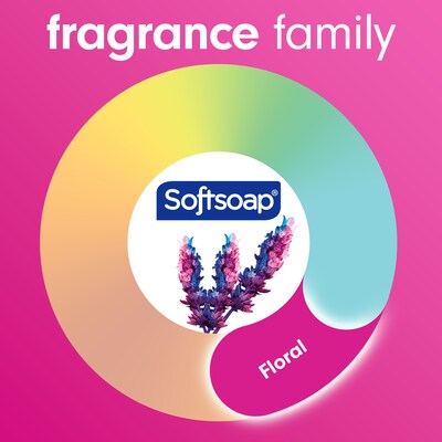 Softsoap Ready To Use Liquid Soap, Coconut & Hibiscus Scent (US07157A)