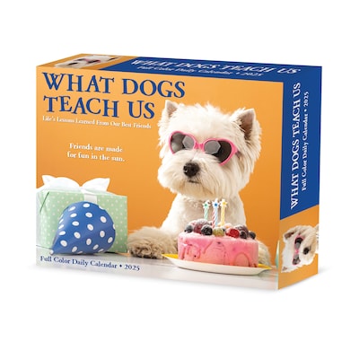 2025 Willow Creek What Dogs Teach Us 6 x 5.5 Day-to-Day Calendar (41116)