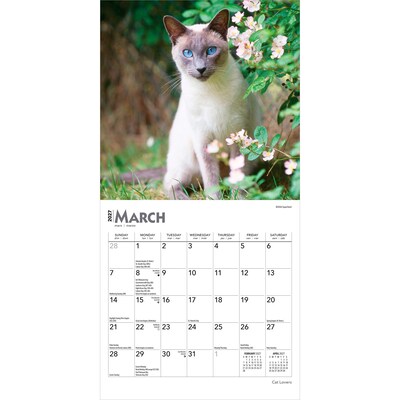 2027 BrownTrout Cat Lovers 7" x 7" Monthly Wall Calendar, Assorted Colors (9798330709717)