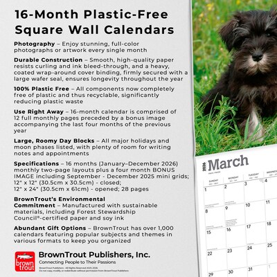 2026 BrownTrout Schnauzer Puppies 12" x 12" Monthly Wall Calendar (9798330705443)
