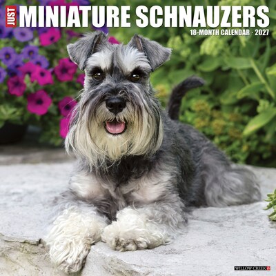 2027 Willow Creek Miniature Schnauzers 12 x 12 Monthly Wall Calendar, Assorted Colors (61220)