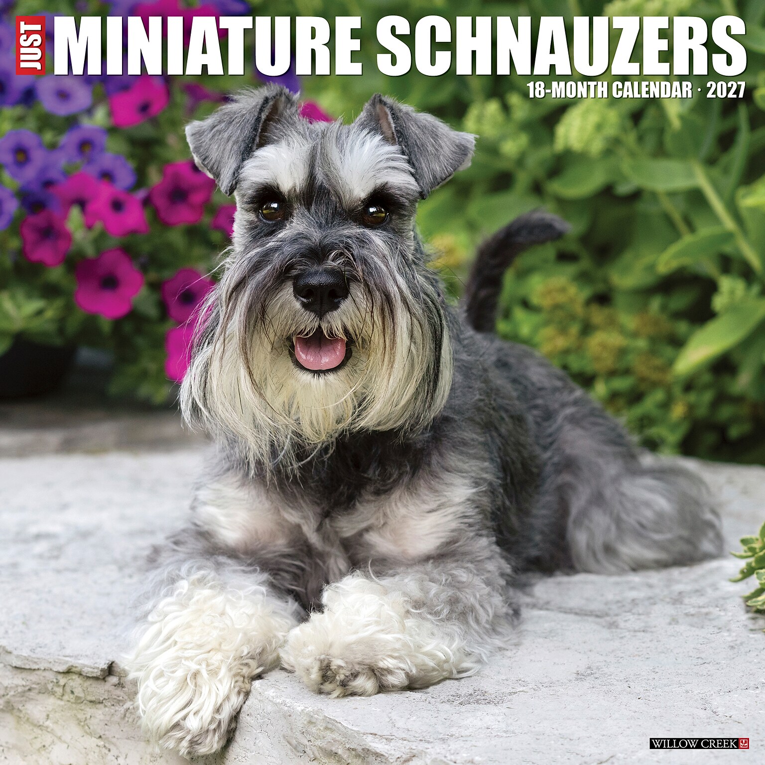2027 Willow Creek Miniature Schnauzers 12 x 12 Monthly Wall Calendar, Assorted Colors (61220)