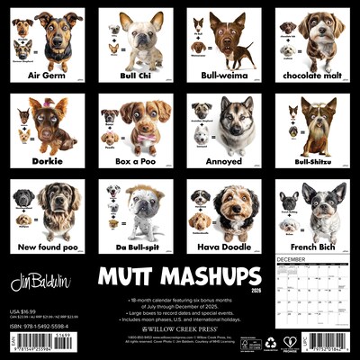 2026 Willow Creek Mutt Mashups 12 x 12 Monthly Wall Calendar (55984)