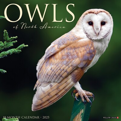 2025 Willow Creek Owls 12 x 12 Monthly Wall Calendar (44315)