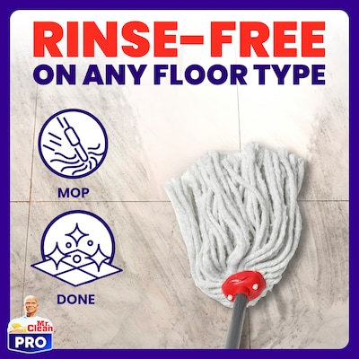 Mr. Clean Professional All Purpose Floor Cleaner, Lemon Scent, 1 Gallon (02621)