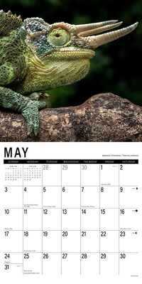 2026 Willow Creek Scales 12" x 12" Monthly Wall Calendar (56110)