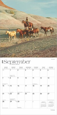 2025 BrownTrout Cowboys 12" x 12" Monthly Wall Calendar (9781975476885)