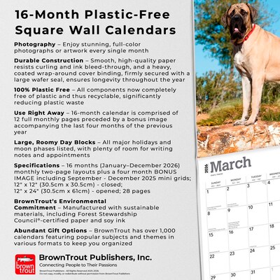 2026 BrownTrout Mastiffs 12" x 12" Monthly Wall Calendar (9798330704538)