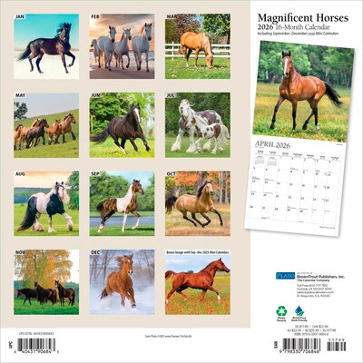 2026 Plato Magnificent Horses 12 x 12 Monthly Wall Calendar (9798330706846)