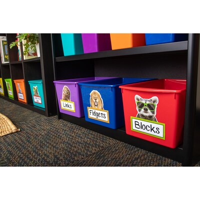 Teacher Created Resources Go Wild Animals Accents, 30/Pack, 3 Packs/Bundle (TCR6854-3)