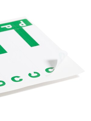Smead AlphaZ NCC Color-Coded Name Labels, C&P, Label Sheet, Dark Green, 100/Pk (67154)