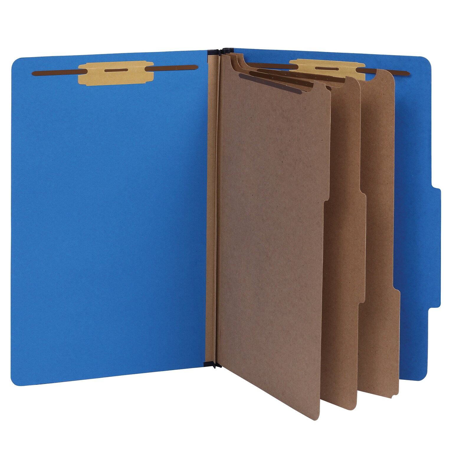 Pendaflex Heavy Duty Classification Folder, 3-Dividers, 3 Expansion, Legal Size, Blue, 10/Box (1006944)