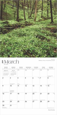 2025 BrownTrout Great Smokies 12" x 12" Monthly Wall Calendar (9781975474881)