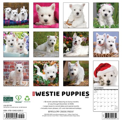 2027 Willow Creek Westie Puppies 12 x 12 Monthly Wall Calendar, Assorted Colors (62852)