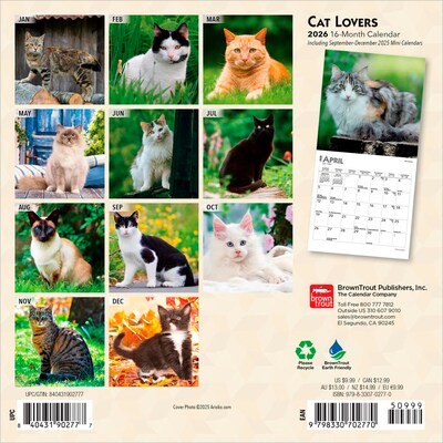 2026 BrownTrout Cat Lovers 7 x 7 Monthly Wall Calendar (9798330702770)