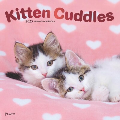 2025 Plato Kitten Cuddles 12 x 24 Monthly Square Wall Calendar, (9781975478940)