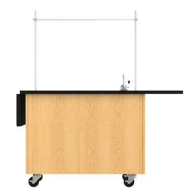 Diversified Woodcrafts Mobile Science Laboratory Rectangular Demo Unit, 48" x 24", Black (4121K)