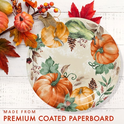 Say Hooray! Harvest Delight Paper Plates and Napkins Kit, Multicolored, 48/Pack (DTC9388E2G)