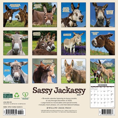 2026 Willow Creek Sassy Jackassy 12 x 12 Monthly Wall Calendar (52655)