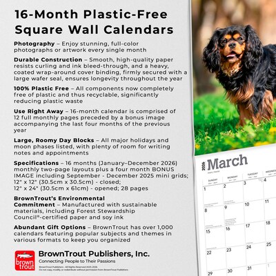 2026 BrownTrout Cavalier King Charles Spaniels 12" x 12" Monthly Wall Calendar (9798330702824)
