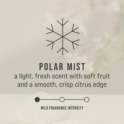 Rubbermaid Commercial CirculAir 90 Air Freshener Solid, Polar Mist, 6/Carton (2231718)