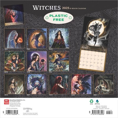 2025 BrownTrout Alchemy Witches OFFICIAL 12 x 24 Monthly Square Wall Calendar (9781975483098)