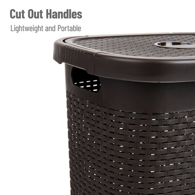 Mind Reader Plastic Laundry Hamper with Lid, Brown (50HAMP-BRN)