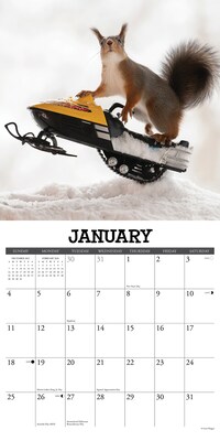 2026 Willow Creek Gettin' Squirrelly 12" x 12" Monthly Wall Calendar (51252X)