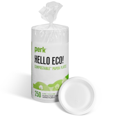 Perk™ Eco Compostable Paper Plates, 6, White, 250/Pack (PK61286)