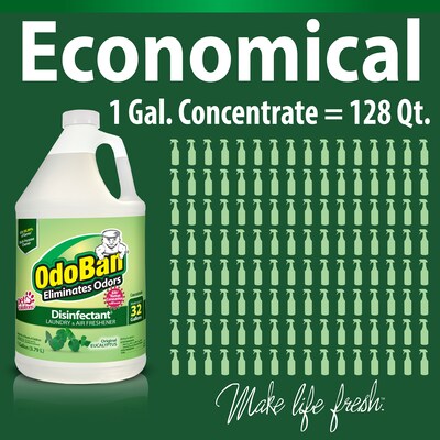 OdoBan Air Freshener & Deodorizer, Original Eucalyptus Scent, 1 Gallon (911061-G4)
