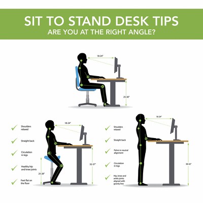Bush Business Furniture Move 40 Series 28"-48" Adjustable Standing Desk, Modern Hickory/Cool Gray Metallic (M4S4824MHSK)