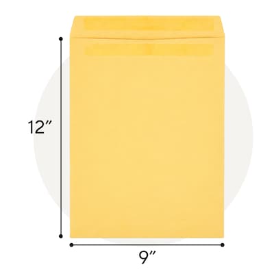 Staples 9 x 12 Self-Seal Catalog Envelopes, Brown Kraft, Heavy-Duty Mailing Envelopes, Secure Peel & Seal Closure, 250/Box