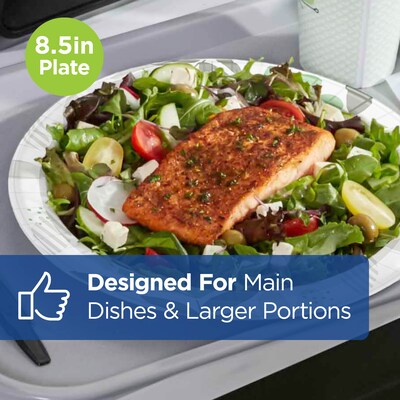 Dixie Ultra Pathways 8.5" Paper Plates, Multicolored, 500/Carton (SXP9PATH)