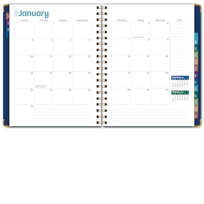 2027 Excello Brands 9" x 11" Weekly & Monthly Standard Planner, Paperboard Cover, Dragonflies (FSHN-CY27-8511-59)