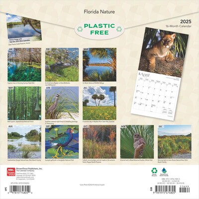 2025 BrownTrout Florida Nature 12 x 24 Monthly Square Wall Calendar, (9781975474805)