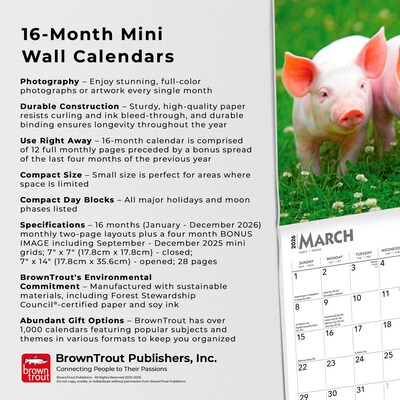 2026 BrownTrout Piglets 7" x 7" Monthly Wall Calendar (9798330705122)