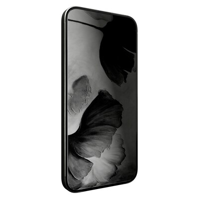 cellhelmet Tempered Glass Privacy Filter & Screen Protector for iPhone 17 Pro Max (CHELSP123C000)