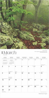 2025 BrownTrout Virginia Wild & Scenic 12" x 12" Monthly Wall Calendar (9781975475864)