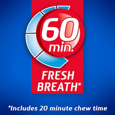 Dentyne Ice Sugar Free Peppermint Gum, 16 Pieces/Pack, 9 Packs/Box (VAM05111)