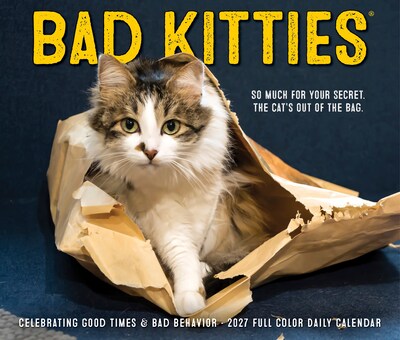 2027 Willow Creek Bad Kitties 6.2" x 5.4" Daily Day-to-Day Calendar, Assorted Colors (63293)