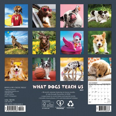 2027 Willow Creek What Dogs Teach Us 7 x 7 Monthly Wall Calendar, Assorted Colors (64283)