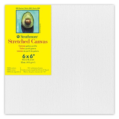 Strathmore 300 Series Primed Gallery Stretched Canvas, 6 x 6, 3/Bundle (STT31406-3)