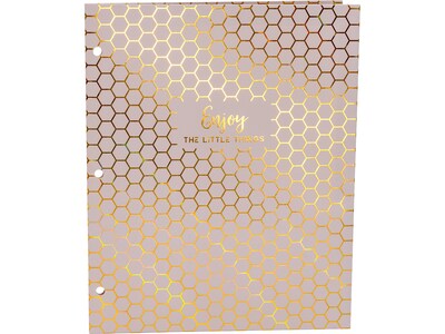 Pukka Pad Haze 3-Hole Punched 2-Pocket Cardstock Portfolio Folders, Assorted Colors, 6/Pack (9980(AST)-HZE)