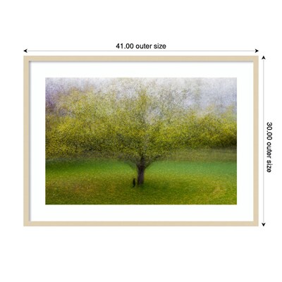 Amanti Art The Cat by the Tree by Arne Ostlund Wood Framed Wall Art Print, 41" x 30" (A42675535519)