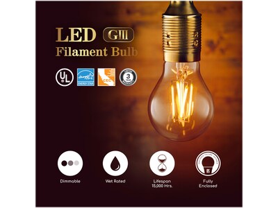 Viribright 8.5-Watt Daylight LED Rustic Antique Filament Bulb, 6/Box (450130-ES)