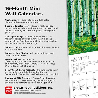 2024 BrownTrout Rocky Mountain Wilderness 7" x 14" Monthly Wall Calendar (9781975464790)
