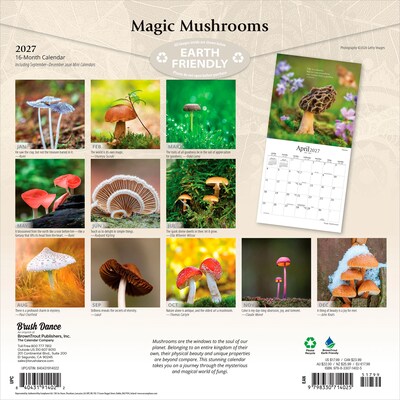 2027 BrownTrout Magic Mushrooms 12 x 12 Monthly Wall Calendar (9798330714025)